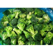 IQF Frozen Broccoli Frozen Floret